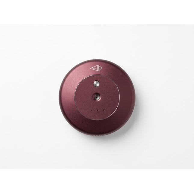 Car Diffuser Set (Anniversary BURGUNDY Edition)
